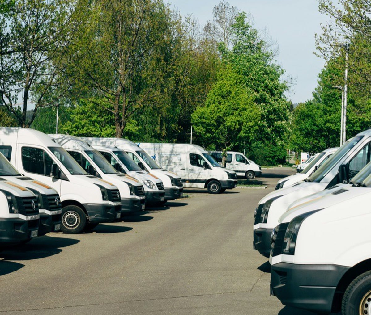 Rows of white rental vans parked on a lot